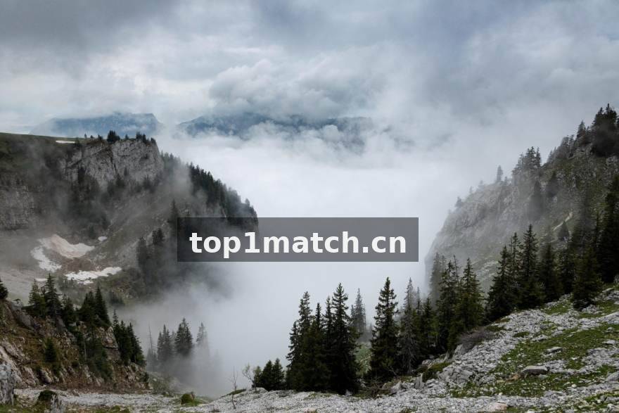 TOP1体育 移动端资讯阅读场景